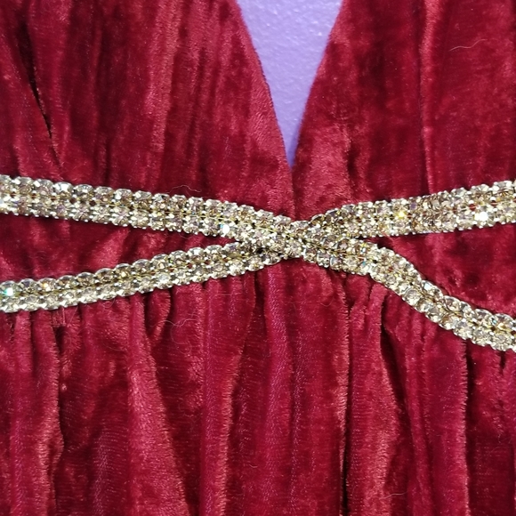 Crushed Velvet Dress - Picture 4 of 4